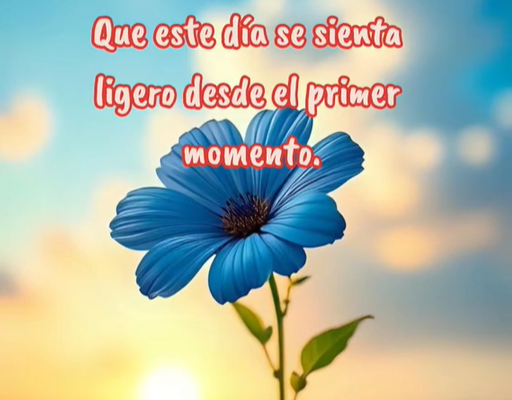 Flor azul iluminada por la luz de la mañana que simboliza un día ligero y positivo