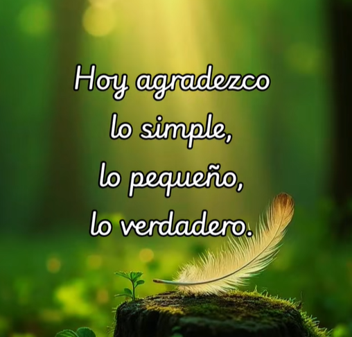 Pluma suave sobre un tronco en un entorno natural verde que representa gratitud por lo simple y lo verdadero